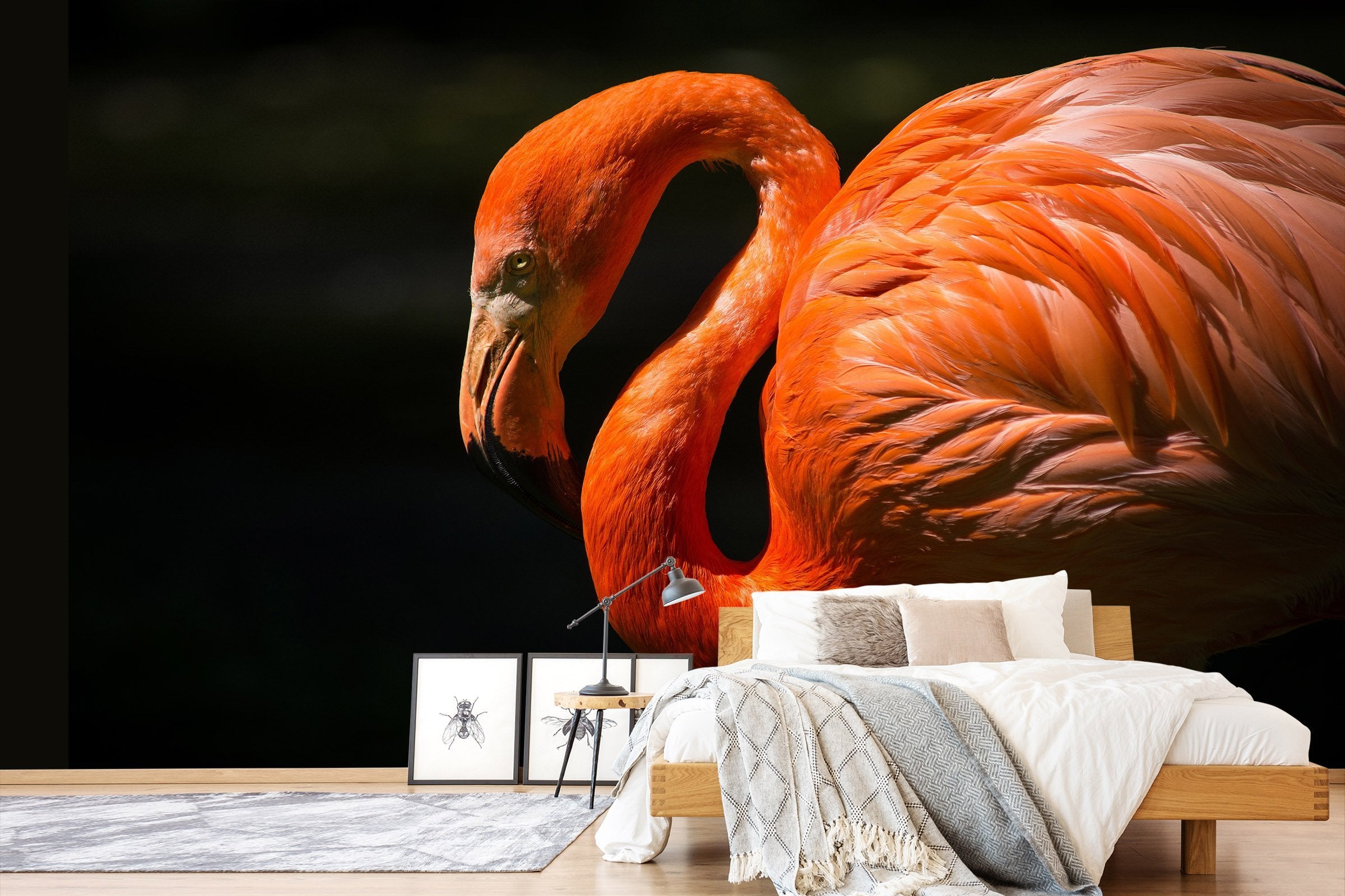 3D Orange Ostrich 580 Wallpaper AJ Wallpaper