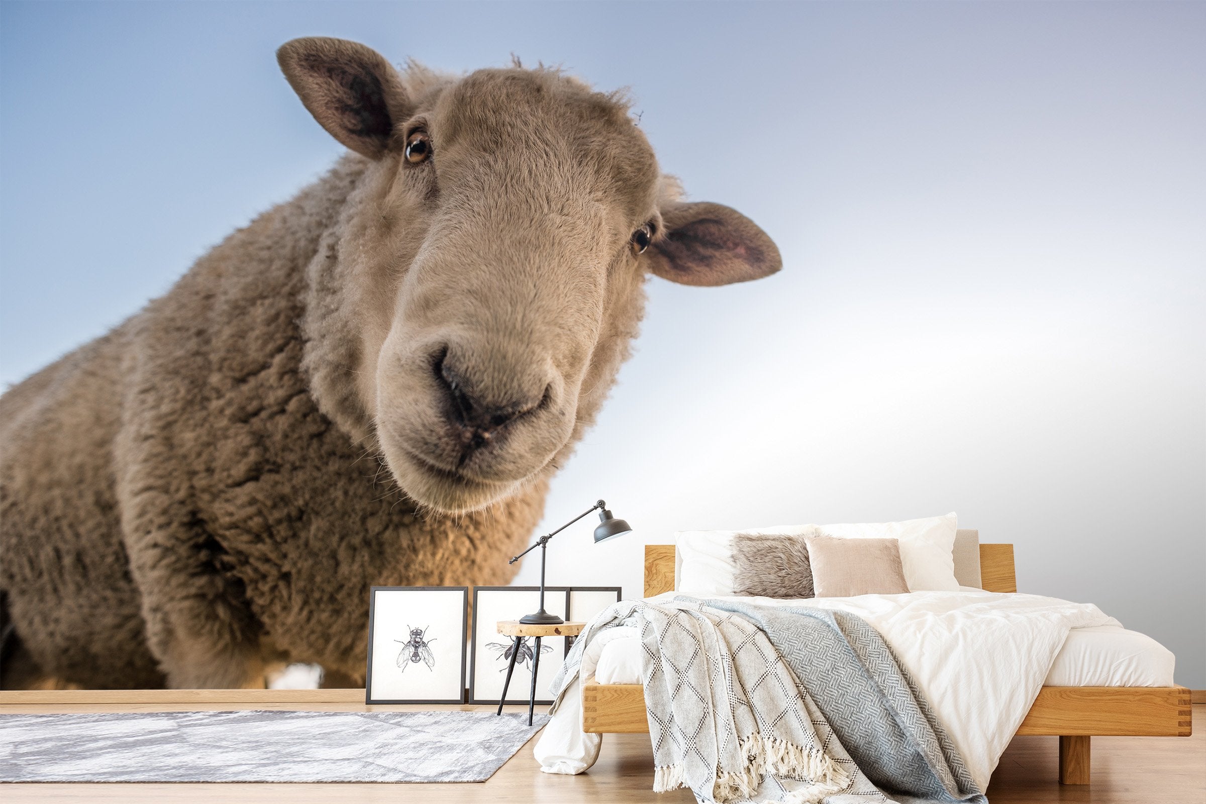 3D Sheep Head 229 Wallpaper AJ Wallpaper