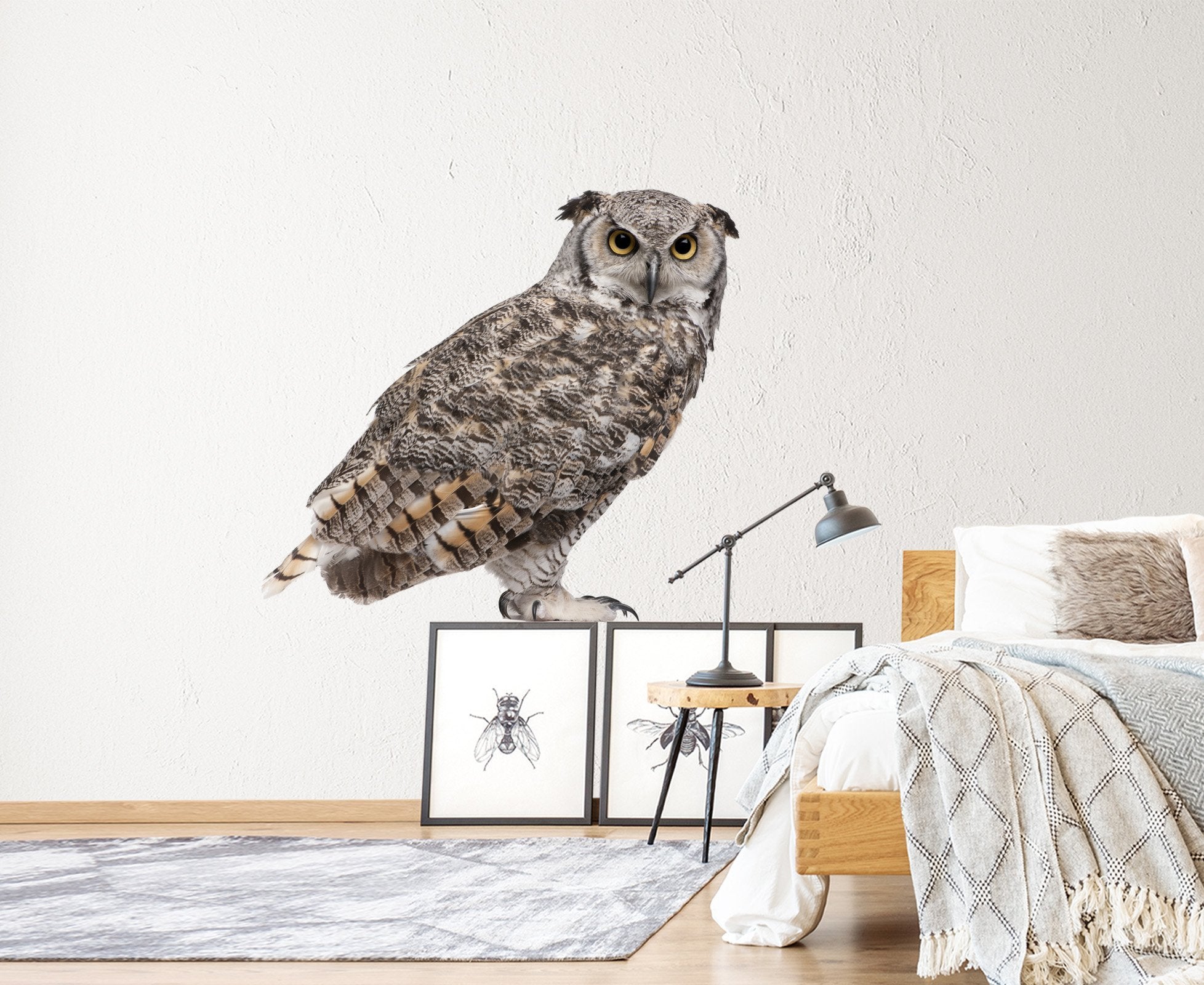3D Owl 206 Animals Wall Stickers Wallpaper AJ Wallpaper