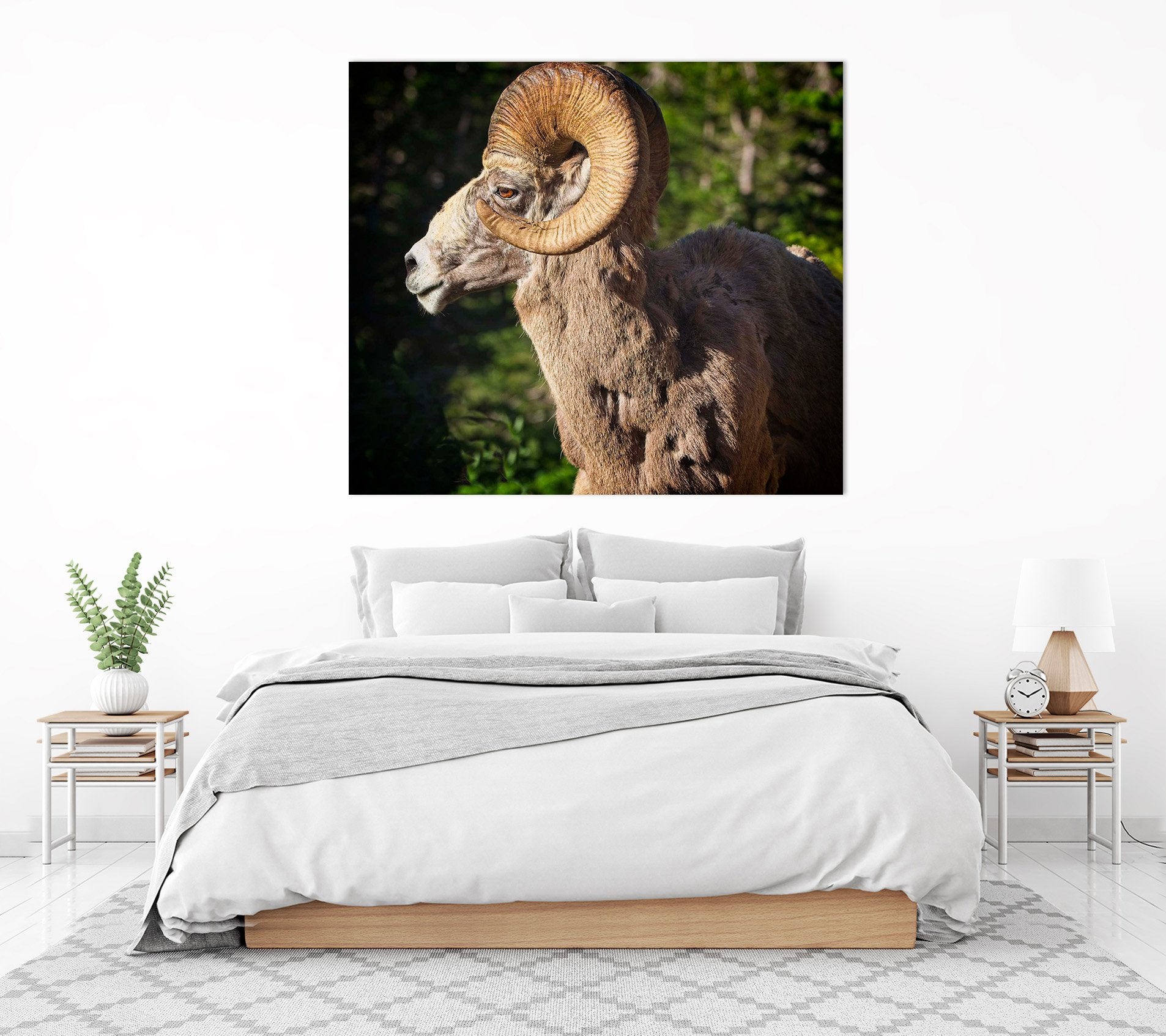 3D Bighorn Ram 005 Kathy Barefield Wall Sticker Wallpaper AJ Wallpaper 2