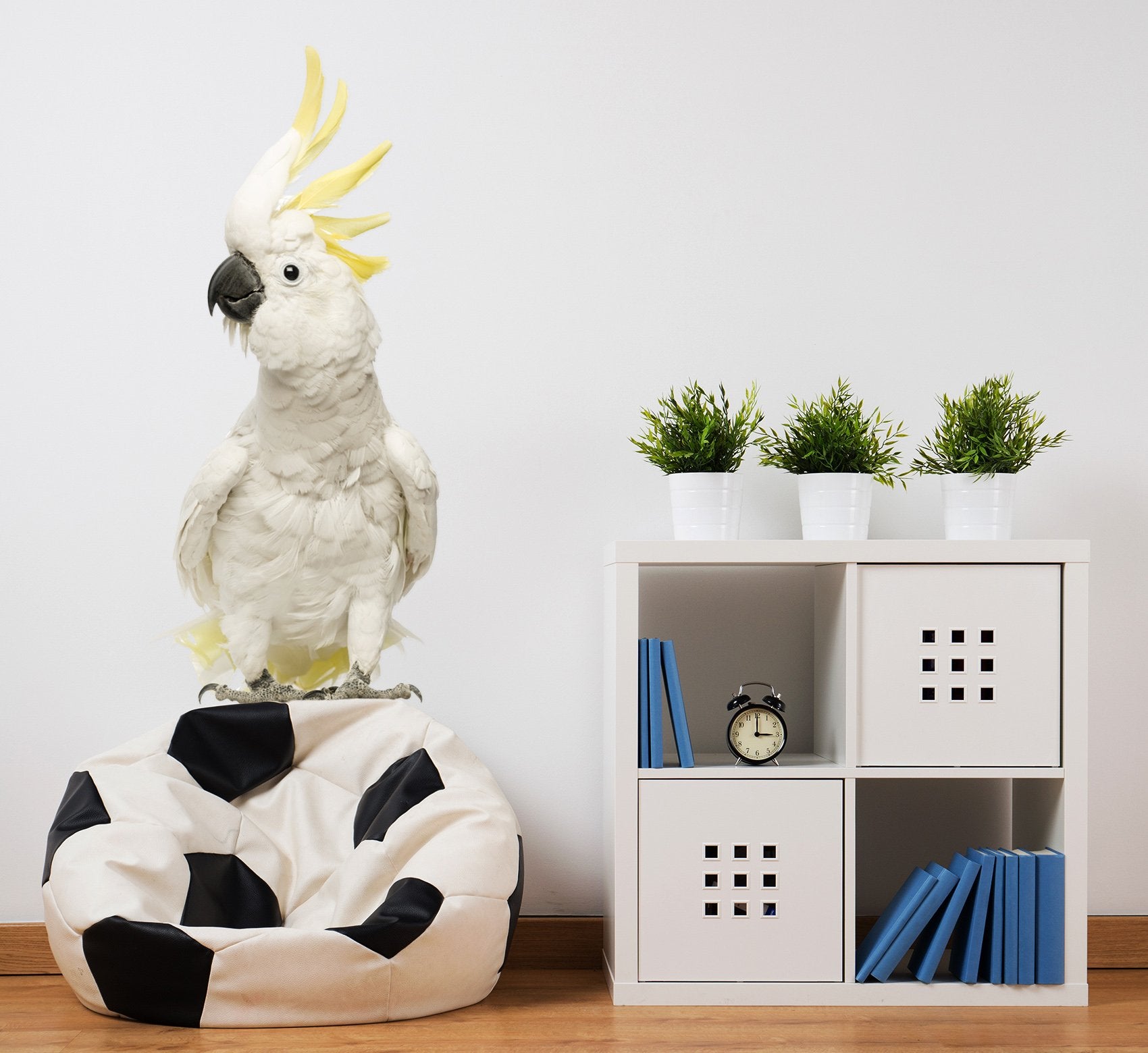 3D White Parrot 195 Animals Wall Stickers Wallpaper AJ Wallpaper