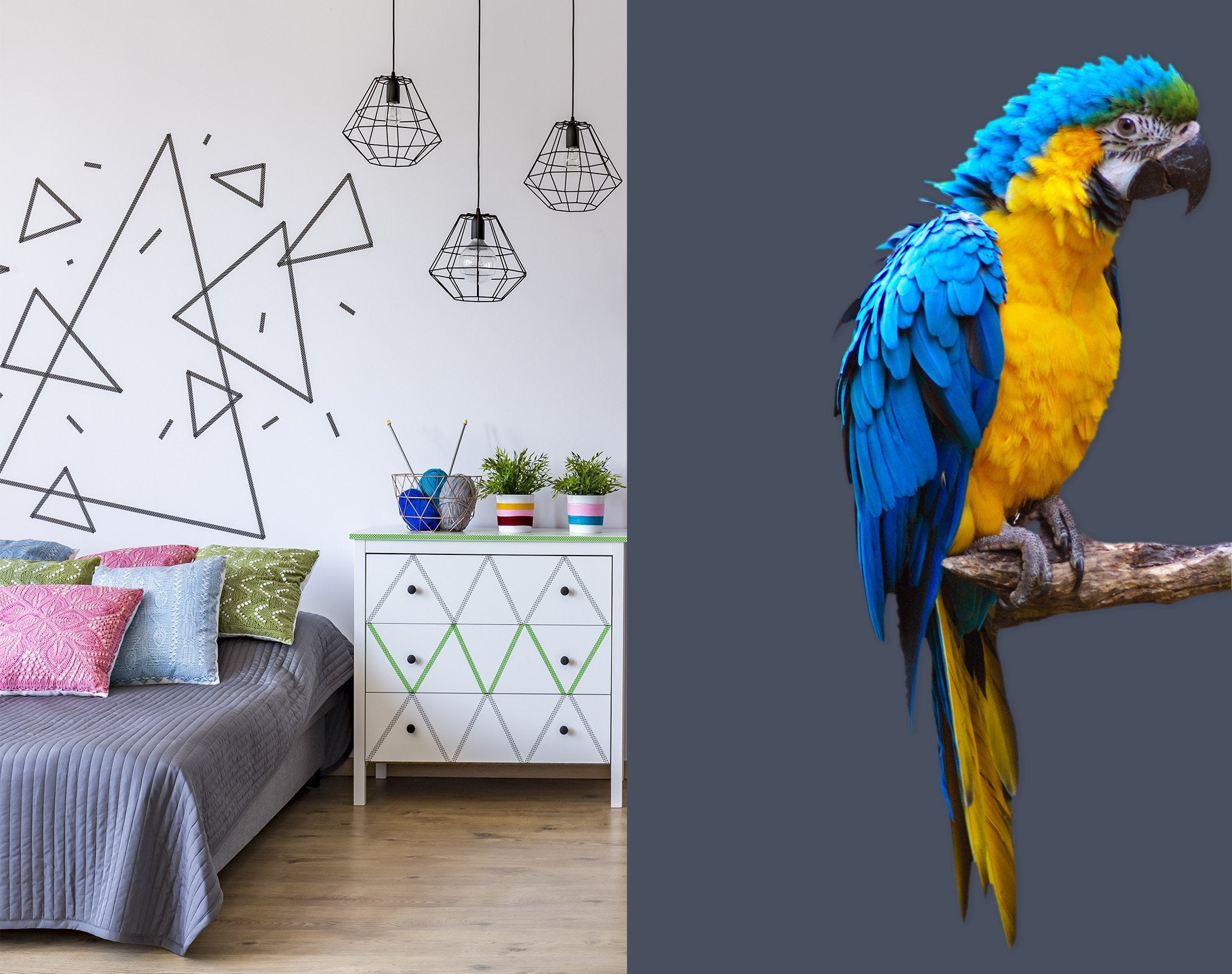 3D Blue Yellow Parrot 166 Animals Wall Stickers Wallpaper AJ Wallpaper