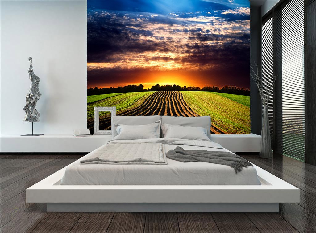 Hoed Fields Wallpaper AJ Wallpaper