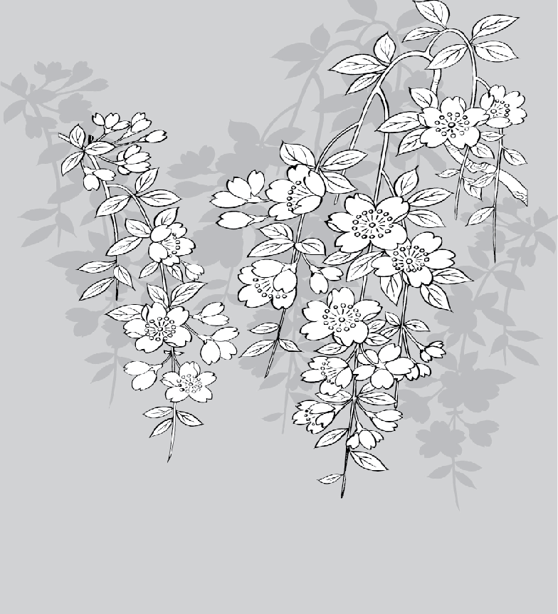 Graceful White Flowers Wallpaper AJ Wallpaper