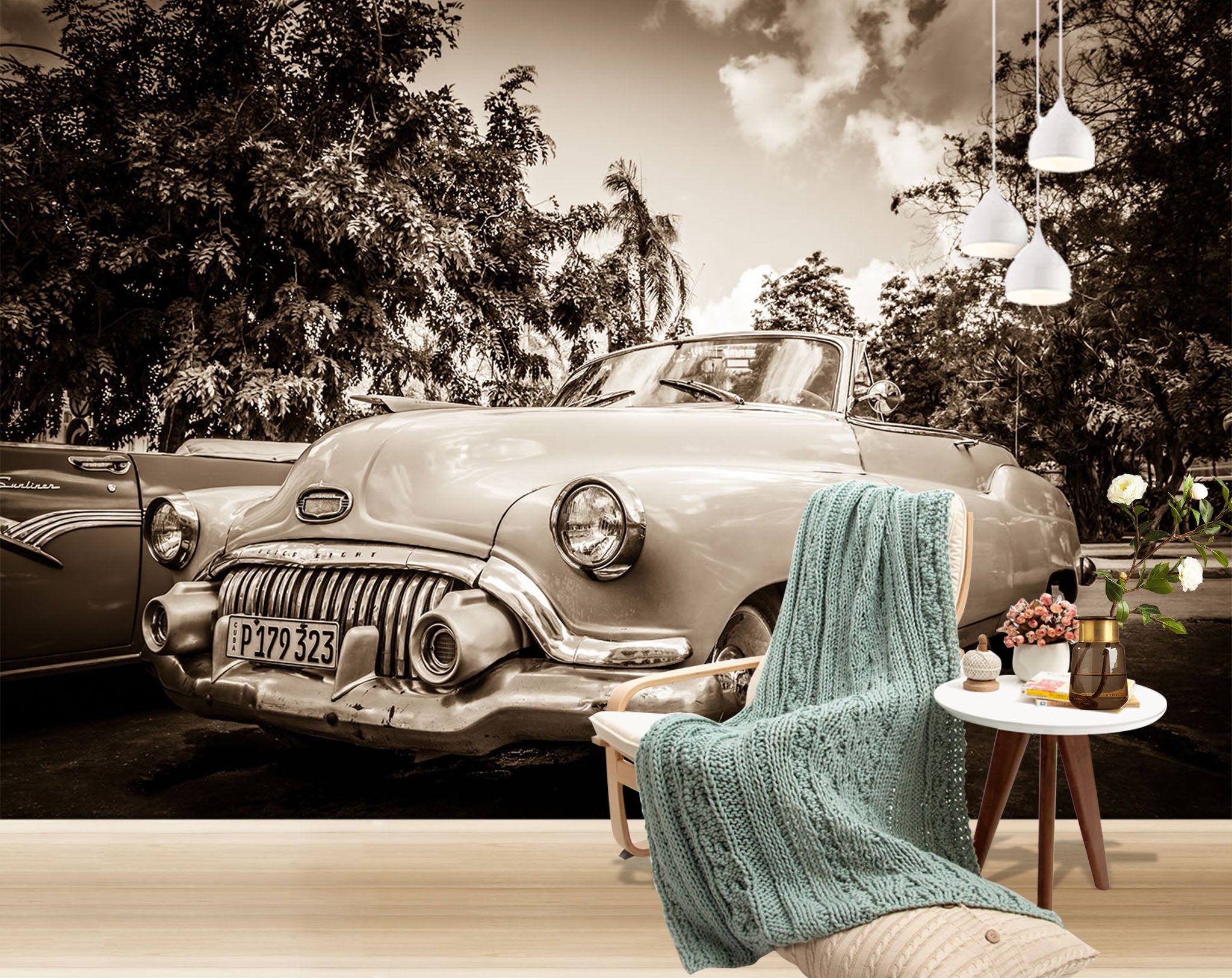 3D Park Convertible 353 Vehicle Wall Murals