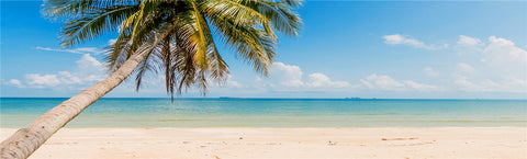 Beach & Tropical