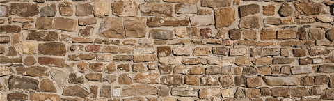 Brick & Texture
