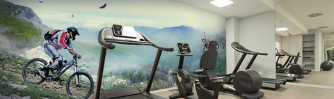 Small business-Gym