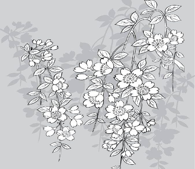 Graceful White Flowers Wallpaper AJ Wallpaper 