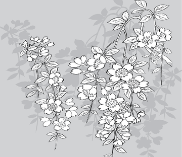 Graceful White Flowers Wallpaper AJ Wallpaper 