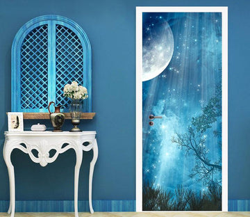 3D blue starry night door mural Wallpaper AJ Wallpaper 