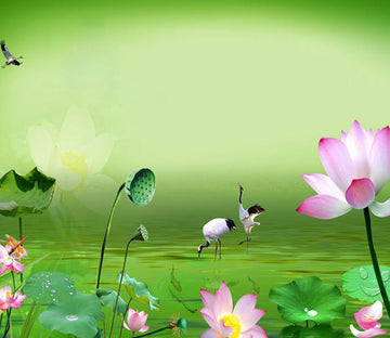 Blooming Lotus 1 Wallpaper AJ Wallpaper 1 