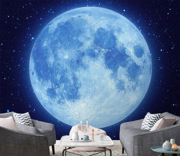 3D Starry Sky 1523 Wall Murals