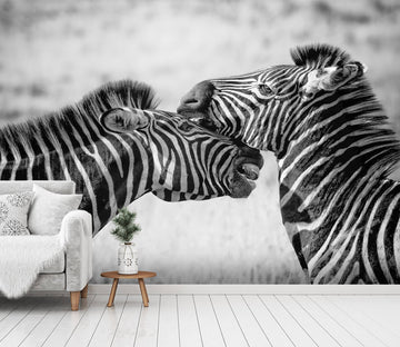 3D Playful Zebra 251 Wallpaper AJ Wallpaper 