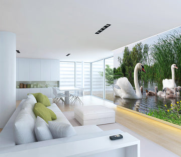 3D Swan Lake 1074 Wall Murals