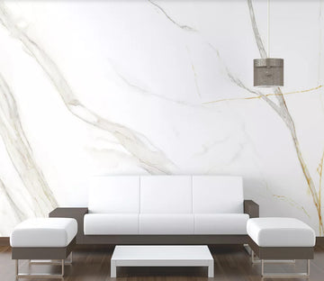 3D White Background WC2071 Wall Murals