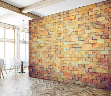 3D Bricks 1418 Wall Murals