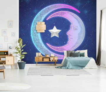 3D Pink Moon Stars 8764 Brigid Ashwood Wall Mural Wall Murals