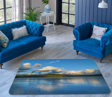 3D Forest Lake Clouds 1001 Jerry LoFaro Rug Non Slip Rug Mat