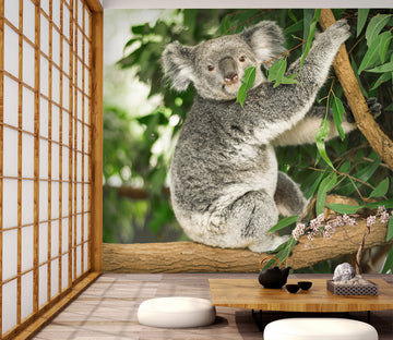 3D Koala Leaves 309 Wall Murals