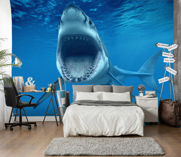 3D Big Mouth Shark 384 Wall Murals
