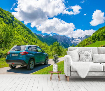 3D Green Landscape Car 360 Vehicle Wall Murals