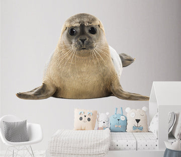 3D Sea Lion Face 196 Animals Wall Stickers Wallpaper AJ Wallpaper 