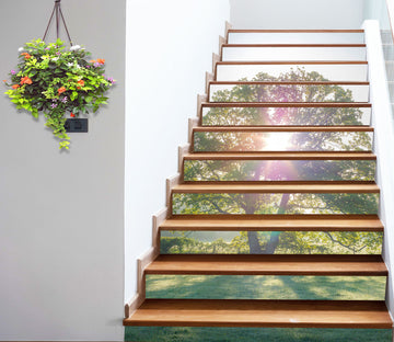 3D Sunshine Tree 99144 Assaf Frank Stair Risers