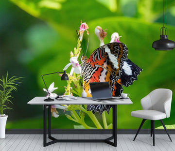 3D Butterfly 57122 Wall Murals