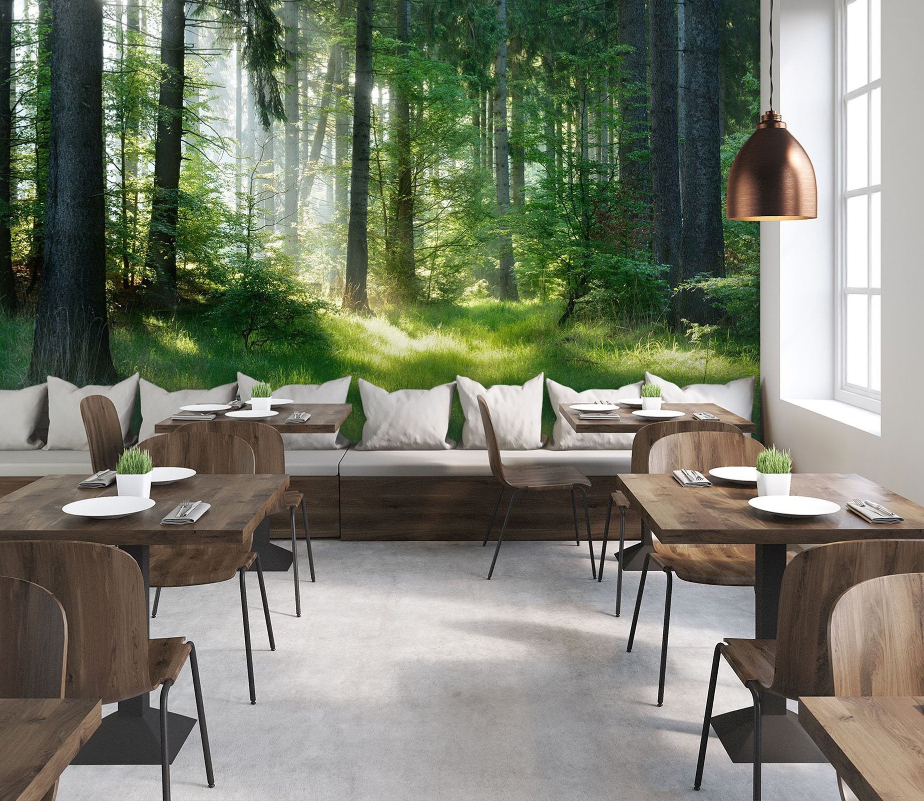 3D Forest Sun 24 Wall Murals Wallpaper AJ Wallpaper 2 