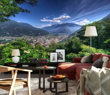 3D Mountain Woods 1501 Wall Murals