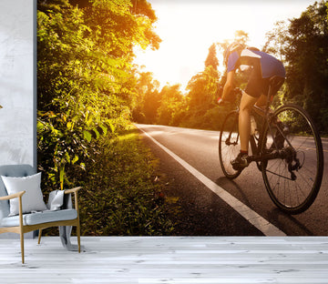 3D Sunset Bike 324 Vehicle Wall Murals