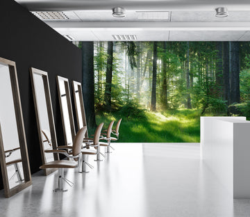 3D Sunny Forest 392 Wall Murals
