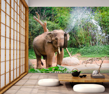 3D Elephant Forest 328 Wall Murals