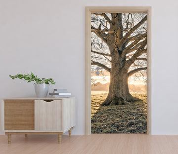 3D Big Tree 106187 Assaf Frank Door Mural