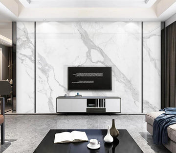 3D White Light Texture 705 Wall Murals