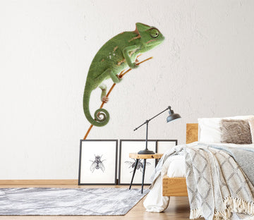 3D Green Chameleon 168 Animals Wall Stickers Wallpaper AJ Wallpaper 