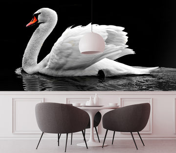 3D White Swan 268 Wall Murals
