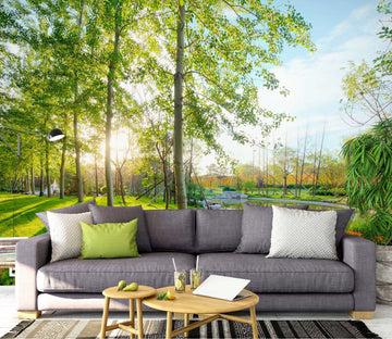 3D Woods Sun 1509 Wall Murals