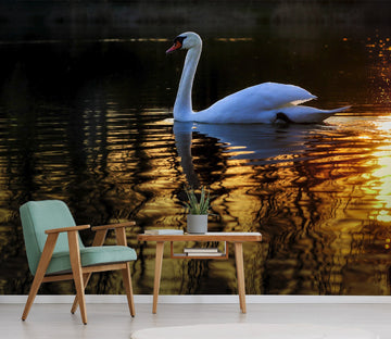 3D Swan Swimming 237 Wallpaper AJ Wallpaper 