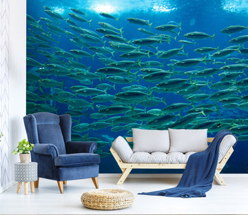 3D School Of Fish 192 Wall Murals