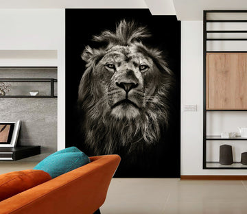 3D Black Lion Head 131 Wall Murals