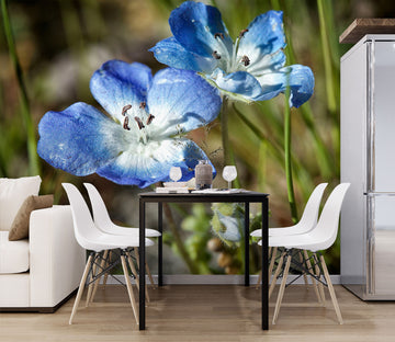 3D Blue Flowers 62069 Kathy Barefield Wall Mural Wall Murals