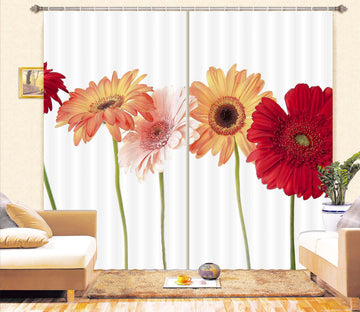 3D Daisy Flower 037 Kathy Barefield Curtain Curtains Drapes
