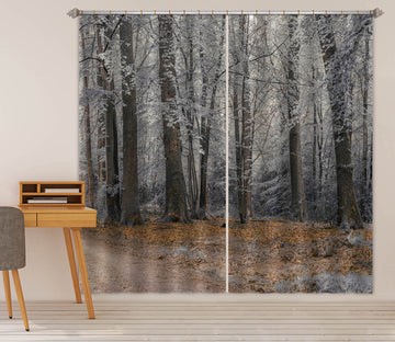 3D Grey Forest 6394 Assaf Frank Curtain Curtains Drapes