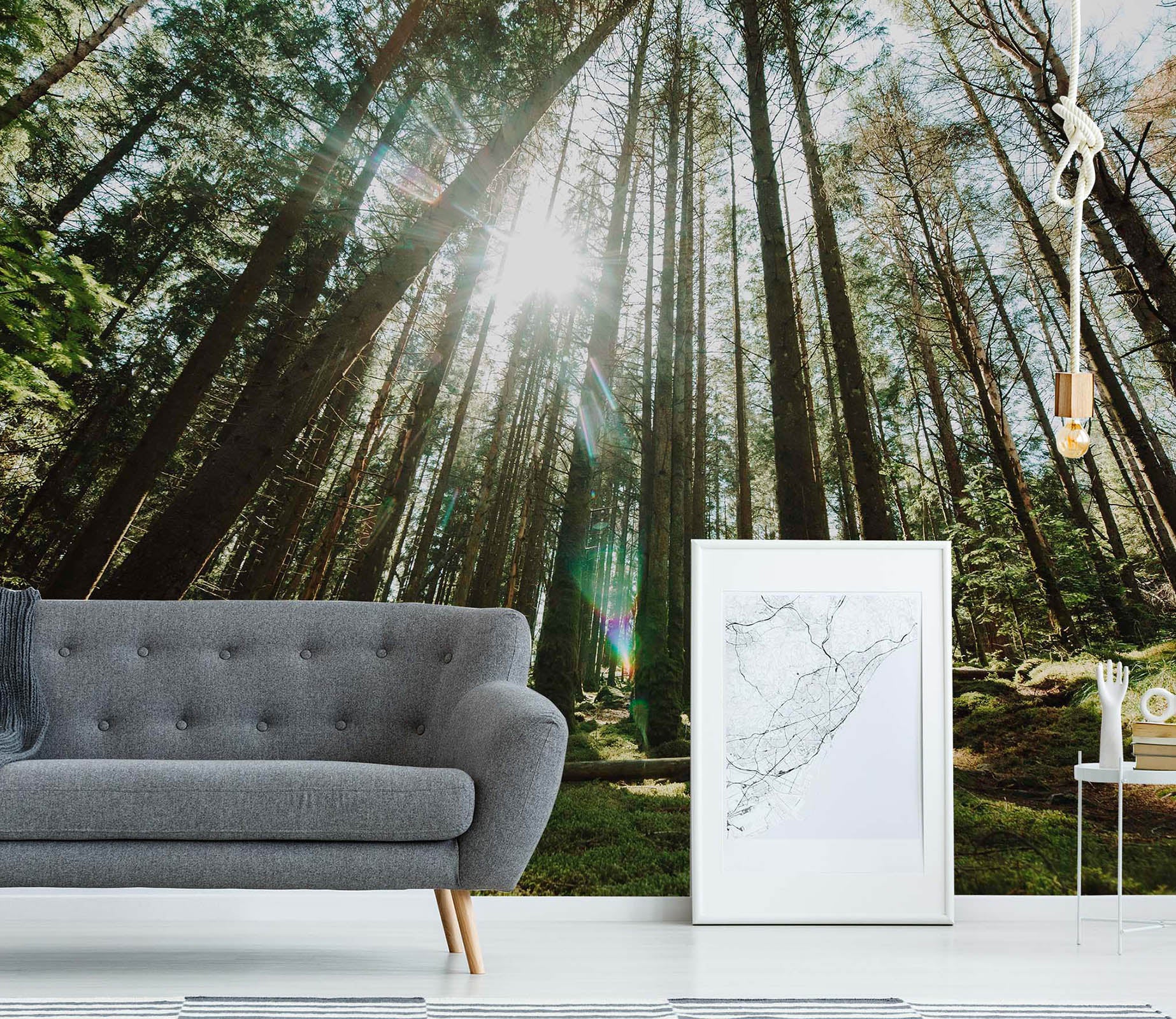 3D Forest Trees 85 Wall Murals