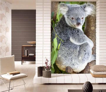3D Koala Leaves 130 Wall Murals