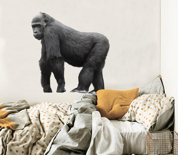 3D Gorilla 097 Animals Wall Stickers Wallpaper AJ Wallpaper 