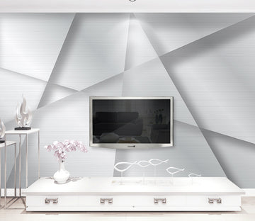 3D Big Triangle WG068 Wall Murals