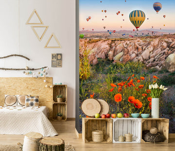 3D Hot Air Balloon 57144 Wall Murals